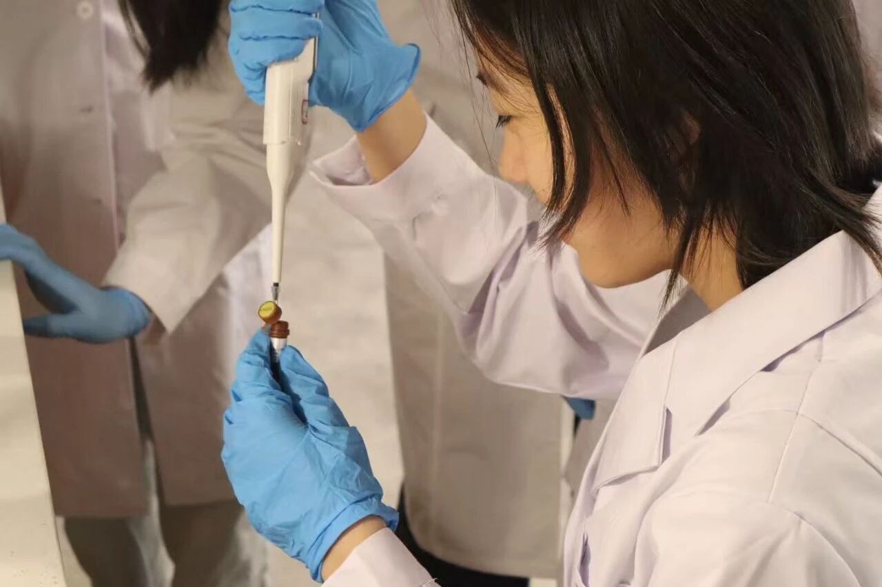 【再获顶级赛事全球金奖】宏文学校青岛校区Diana孙煜阳畅聊“双城科研”趣事