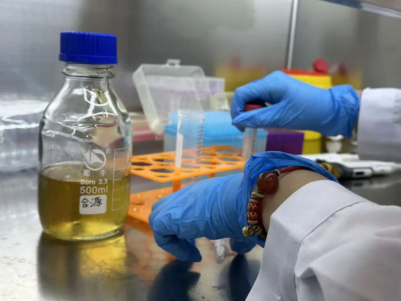 【再获顶级赛事全球金奖】宏文学校青岛校区Diana孙煜阳畅聊“双城科研”趣事