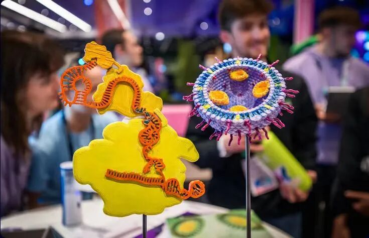 【再获顶级赛事全球金奖】宏文学校青岛校区Diana孙煜阳畅聊“双城科研”趣事