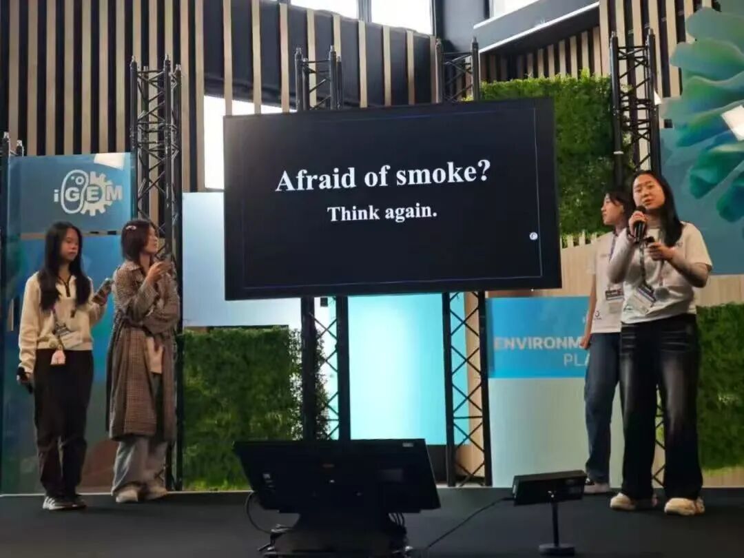 【再获顶级赛事全球金奖】宏文学校青岛校区Diana孙煜阳畅聊“双城科研”趣事