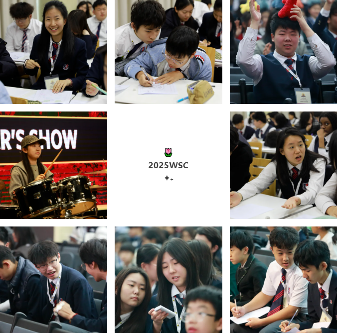 宏文学校青岛校区闪耀国际赛场！BMT/BPT/WSC大奖尽收囊中