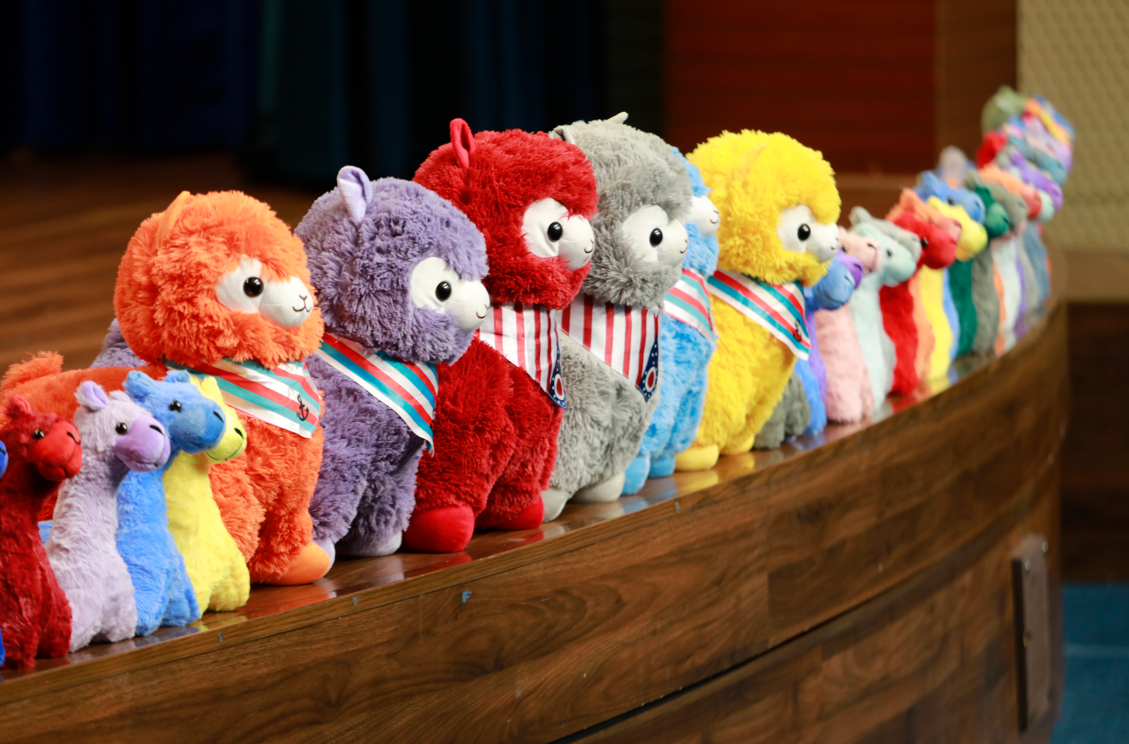 宏文学校青岛校区闪耀国际赛场！BMT/BPT/WSC大奖尽收囊中