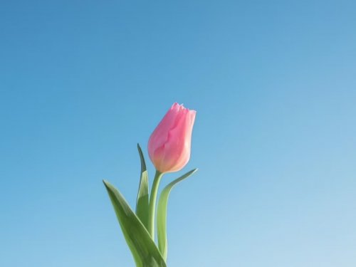 东方心语解锁孩子内心的九把钥匙：当家庭成为最温暖的心灵港湾