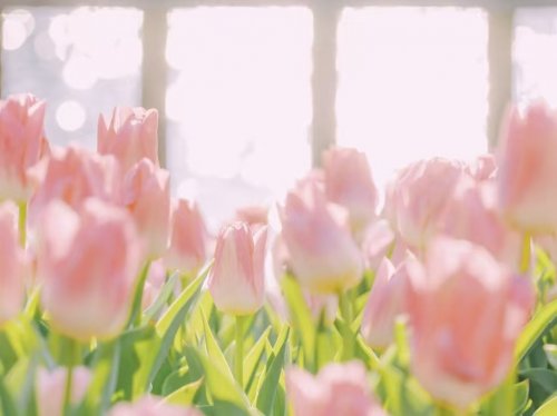 东方心语解锁孩子内心的九把钥匙：当家庭成为最温暖的心灵港湾