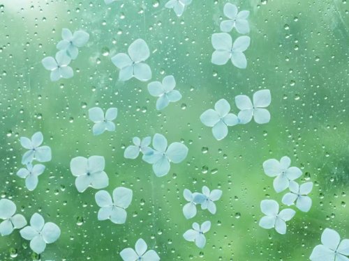 东方心语解锁孩子内心的九把钥匙：当家庭成为最温暖的心灵港湾